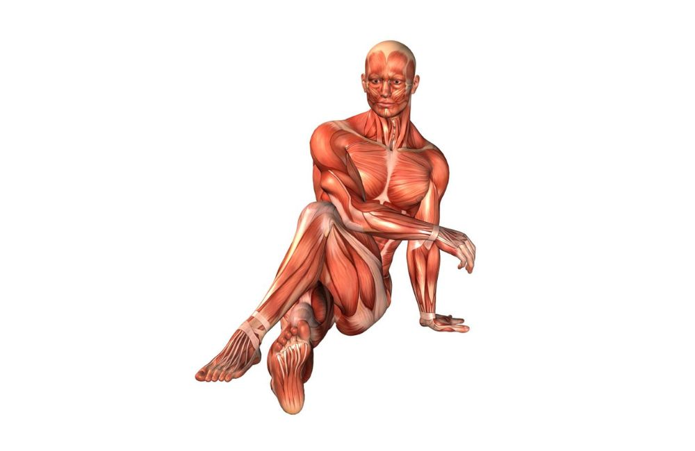 stretching exercises - Seated Rotational Stretch