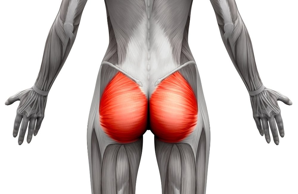 glute muscles and glute exercises