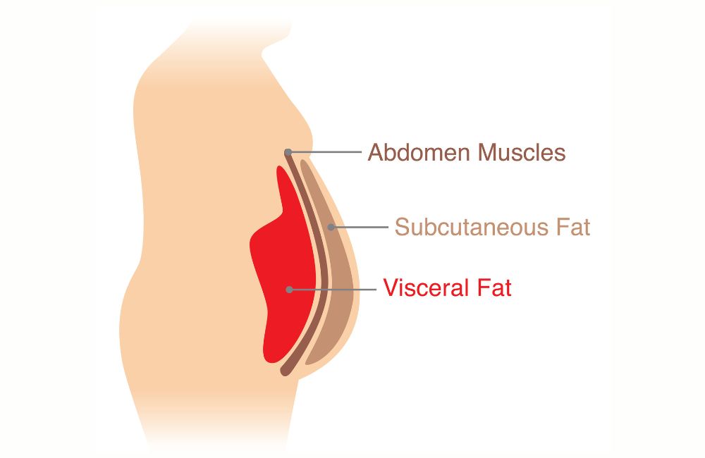 How to lose visceral fat