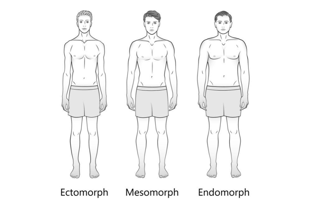 The Male Body Types: Ectomorph, Endomorph, Mesomorph