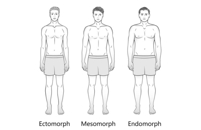 The Three Male Body Types: Ectomorph, Mesomorph, Endomorph