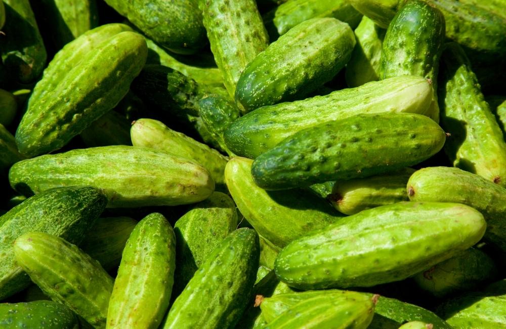 Cucumbers - Fat burning foods