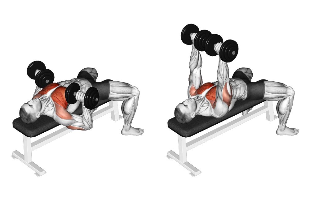Build Chest Muscles With This Five Moves Dumbbell Chest Workout