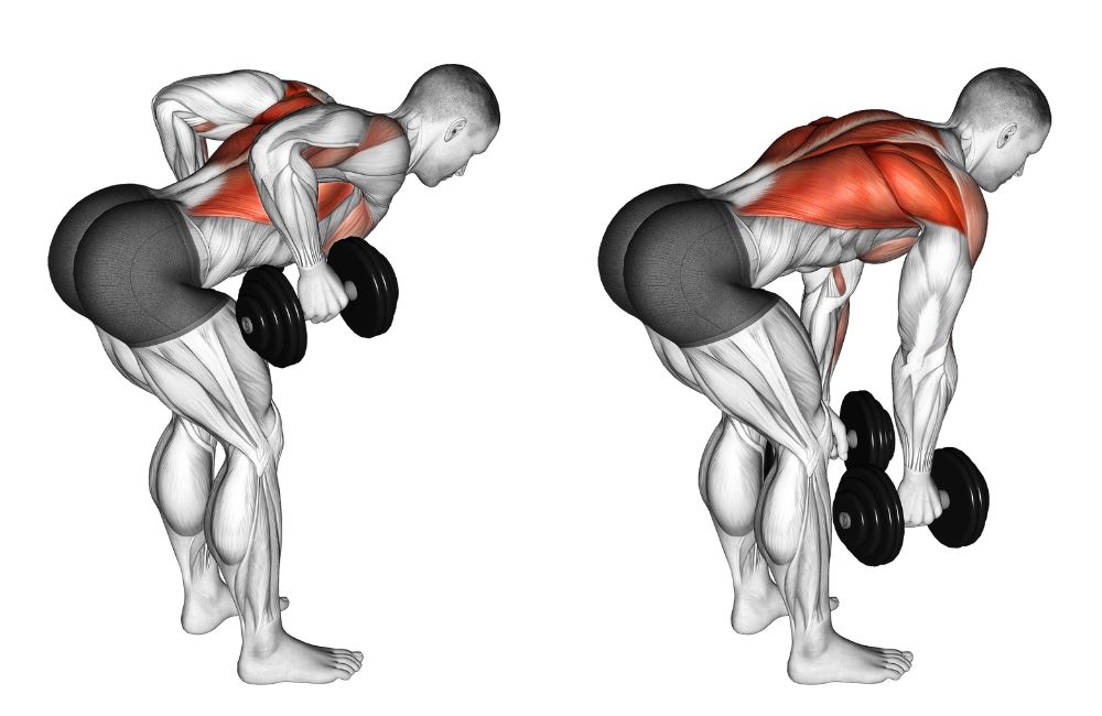 Dumbbell Bent-Over Row