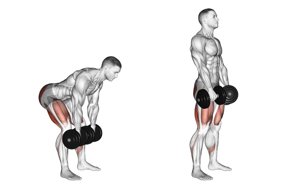 Dumbbell Deadlift