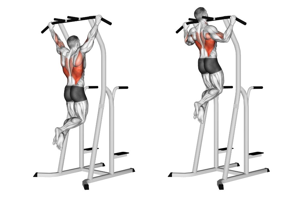 Lat Pull Ups