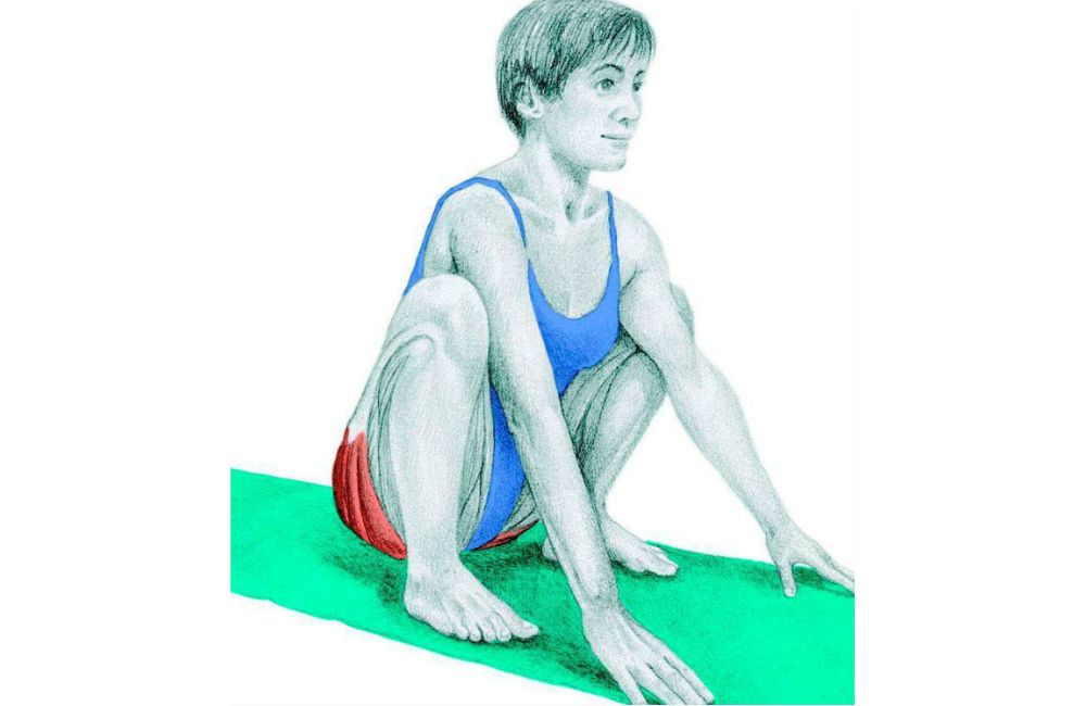 Low Squat Muscle Diagram Stretch