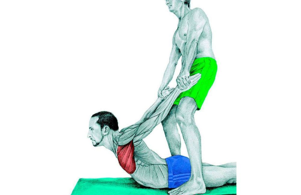 Partner Pec Stretch: Variation II - stretching