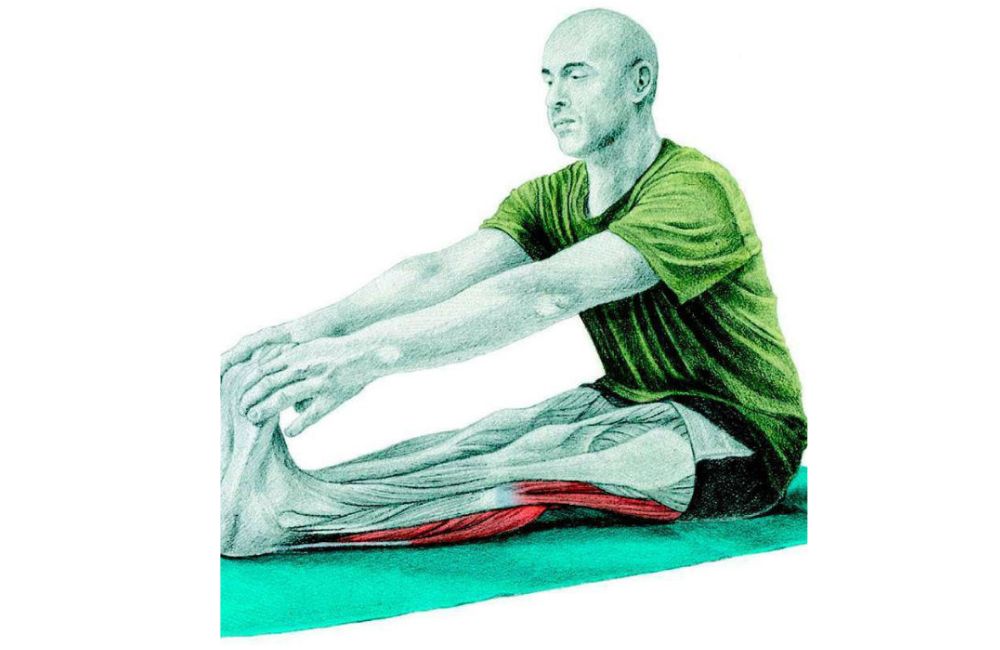 Seated Double Hamstring Stretch