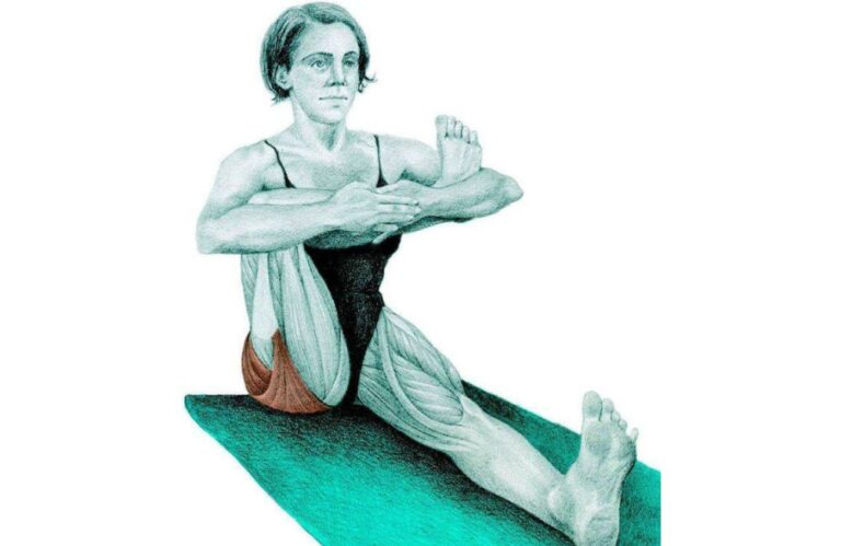 30+ Muscle Diagrams That'll Teach You How To Stretch Every Body Part