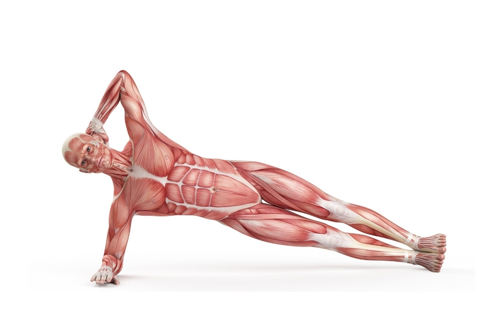Side Plank best abs exercises