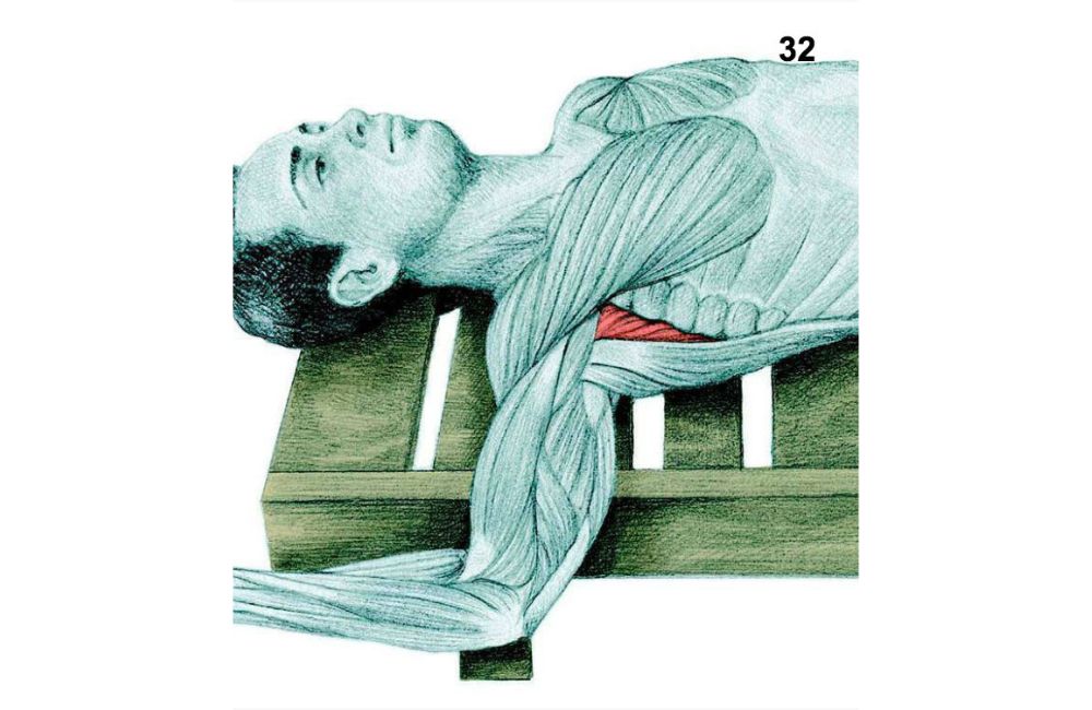 Supine “W” Stretch - stretching muscles