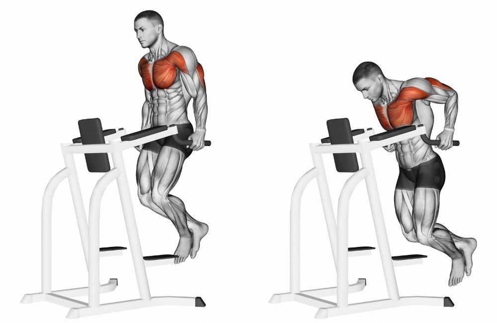 Triceps Dips