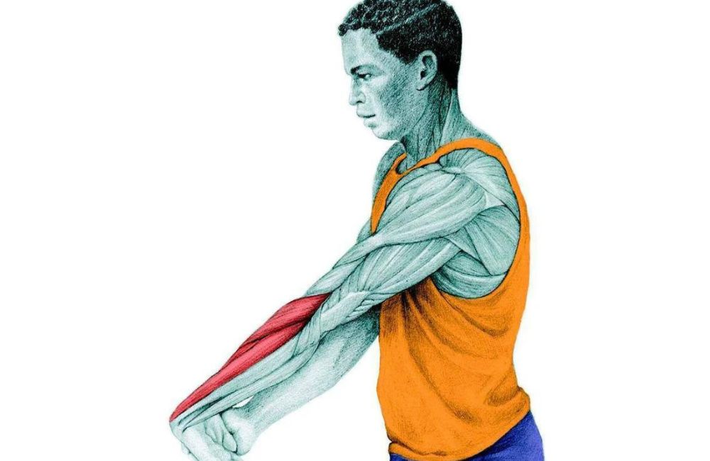 Wrist Extension Stretch