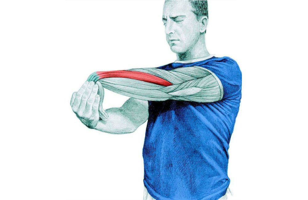 Wrist Flexion Stretch