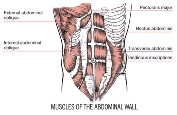 12 Best Ab Exercises You Need to Get a Flat Stomach