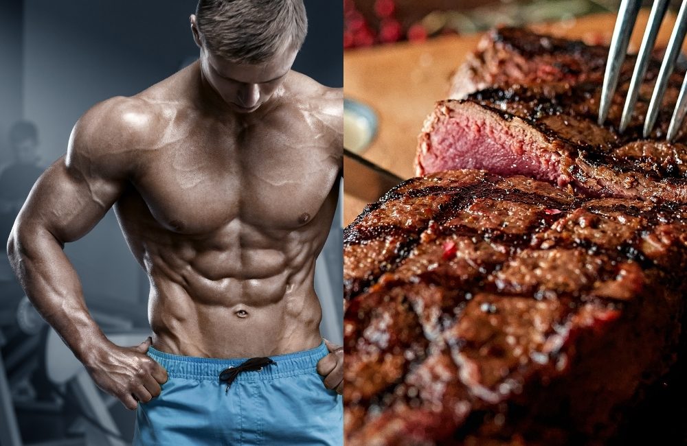 carnivore diet for fat loss