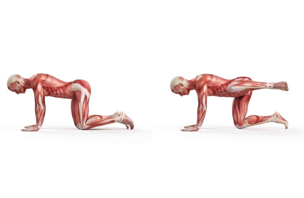 Fire hydrant: best stretches for flexibility