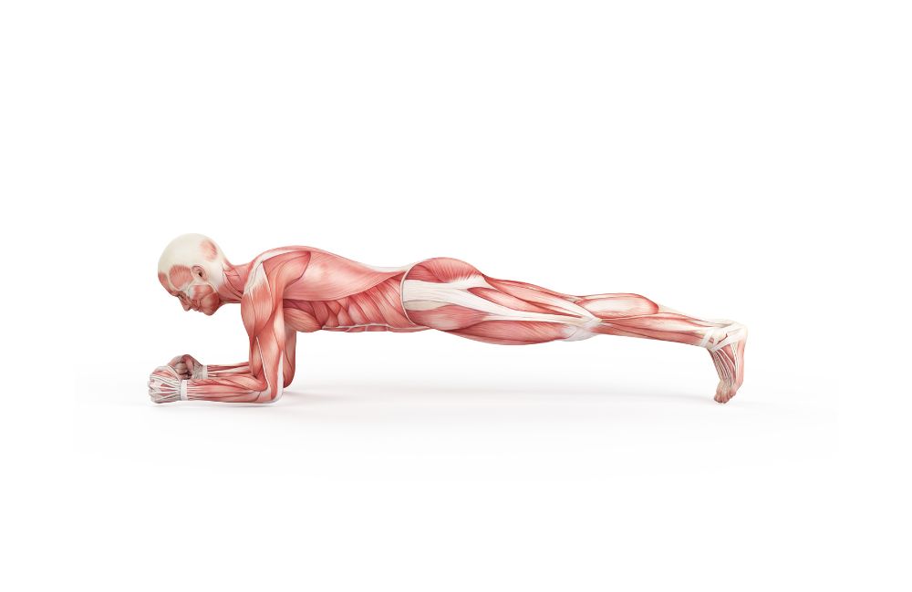 Plank core exercise