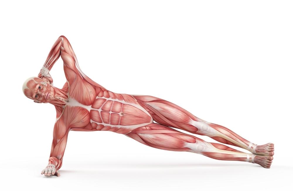 Side Plank for a Great Ab Workout
