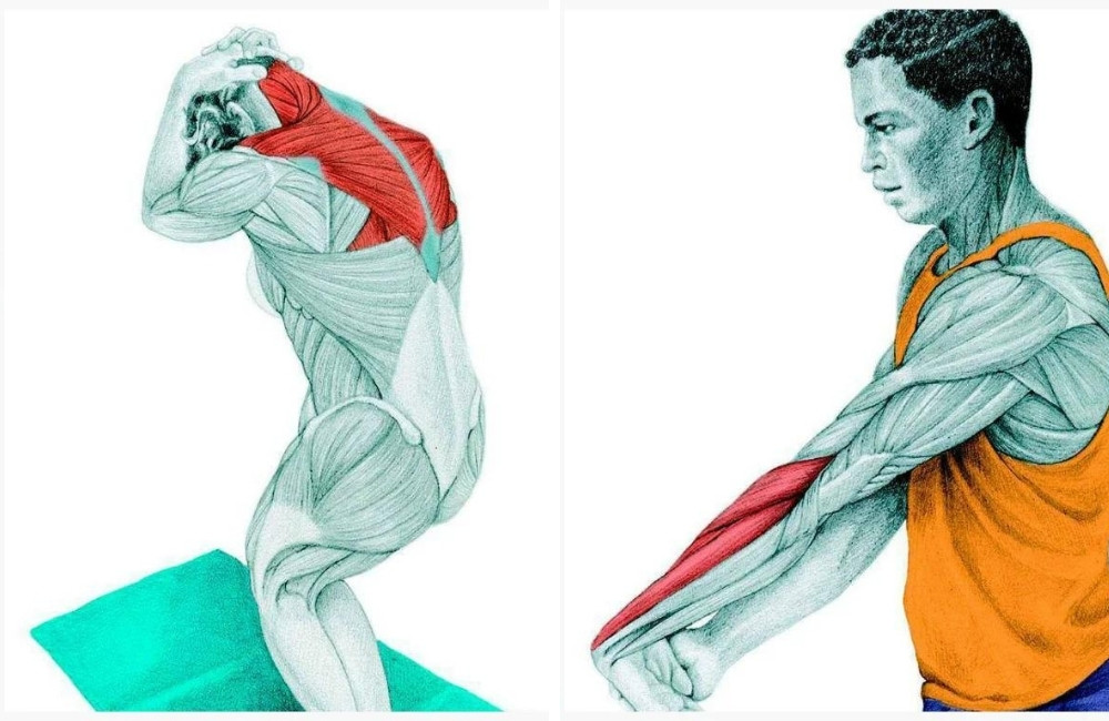Stretching technique muscle diagrams