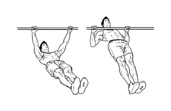 Bodweigh Rows Want to Age Well? Build Overall Body Strength and Muscle Without ...