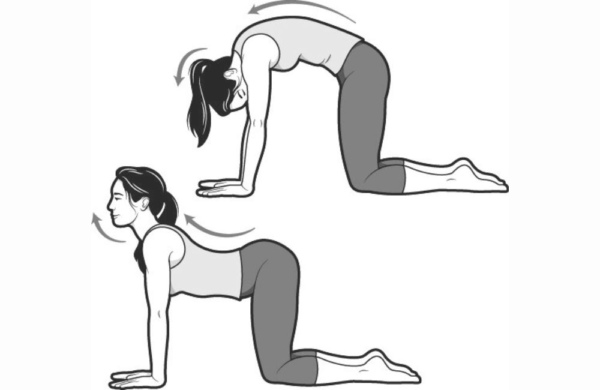 Want To Live Pain-free? Do These Hip and Lower Back Stretches Every Day