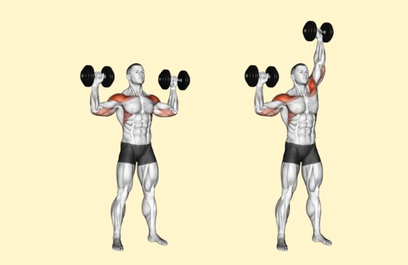 These Six Moves Dumbbell Workouts Are All You Need To Build Muscle All Over