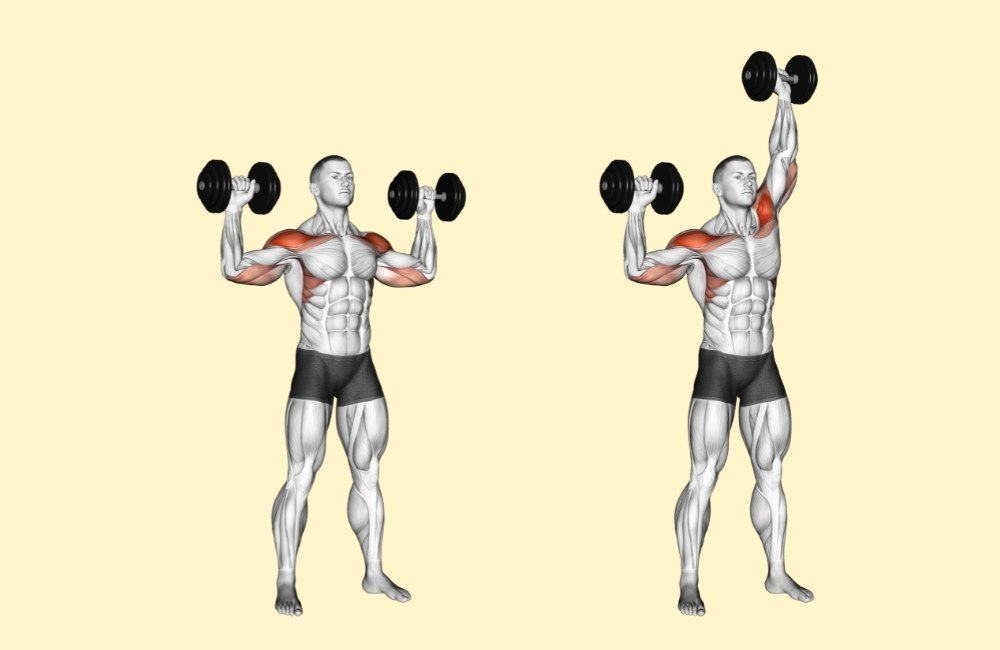 Dumbbell Alternating Shoulder Press