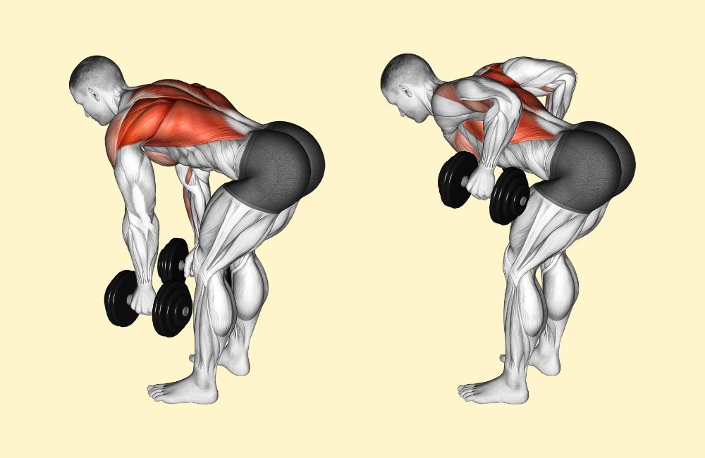 What Is A Bent Over Dumbbell Row At Jessie Ramirez Blog