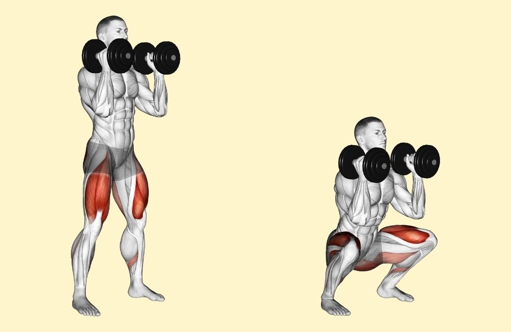 Dumbbell Front Squats