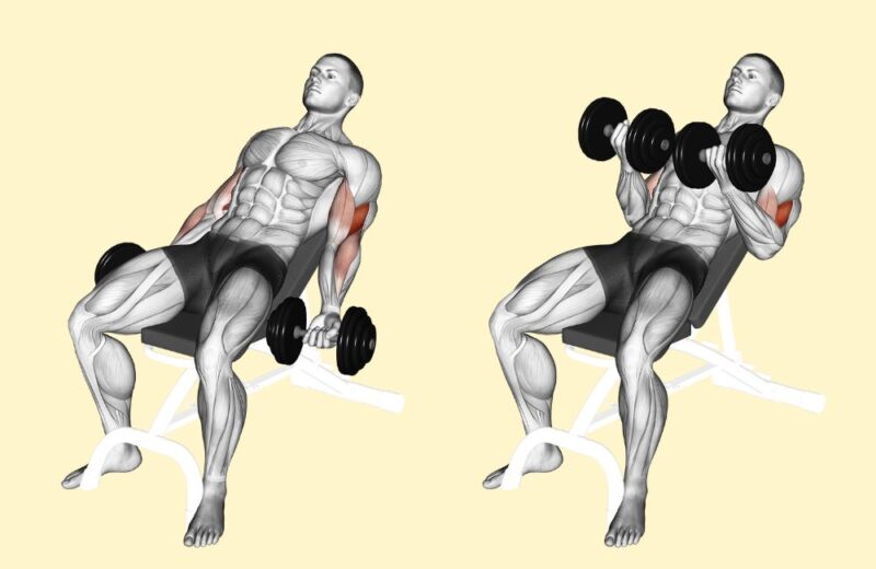 30 Best Dumbbell Exercises to Work Every Body Part