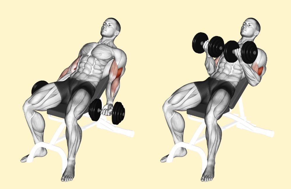 20 Best Dumbbell Exercises Complete with Animated Diagrams - Sport Fitness  Advisor