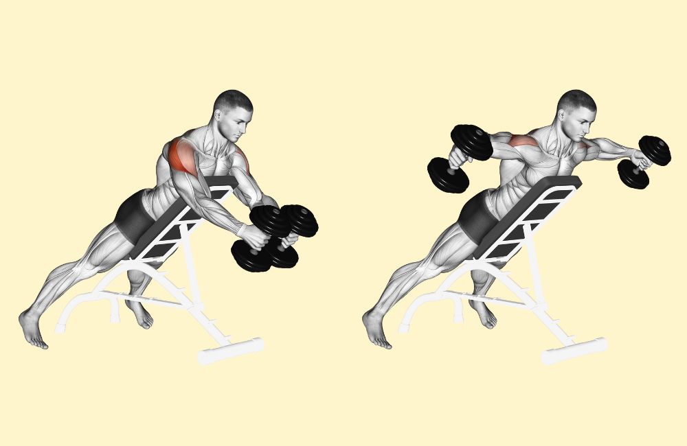 Dumbbell-Supported Bent-Over Reverse Fly