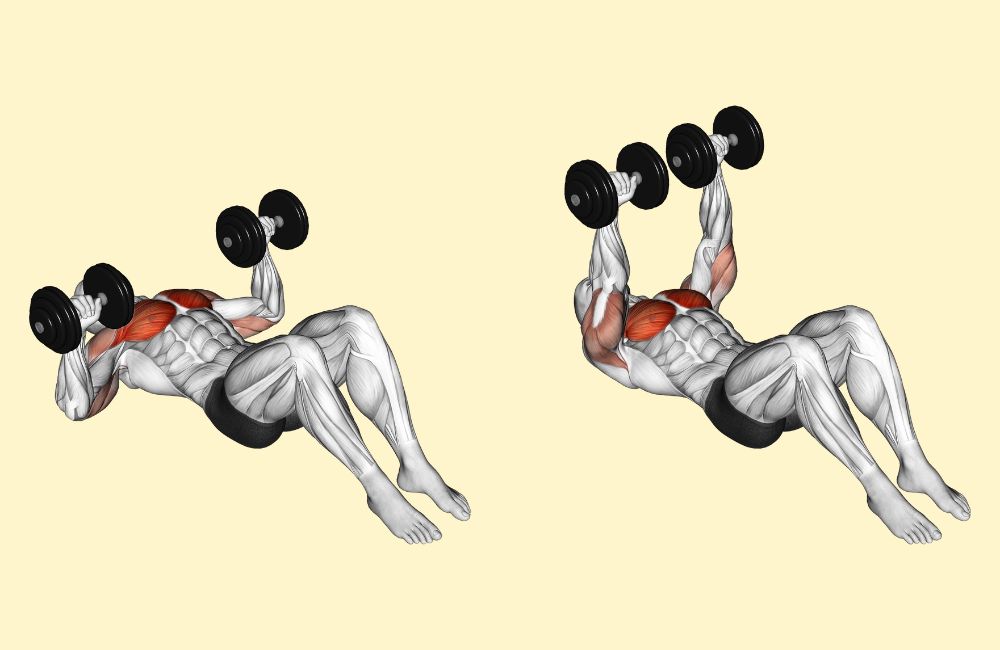 Build Chest Muscles With This Five Moves Dumbbell Chest Workout