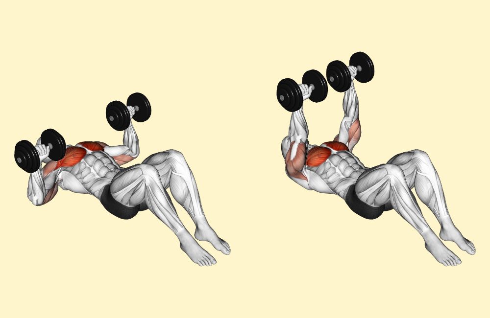 Упражнение Dumbbell Bench Press