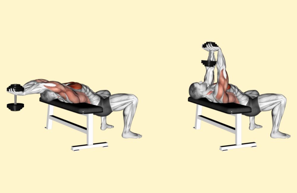 Build Chest Muscles With This Five Moves Dumbbell Chest Workout