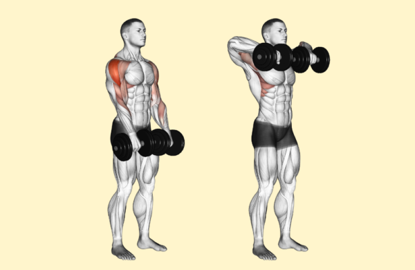 30 Best Dumbbell Exercises to Work Every Body Part