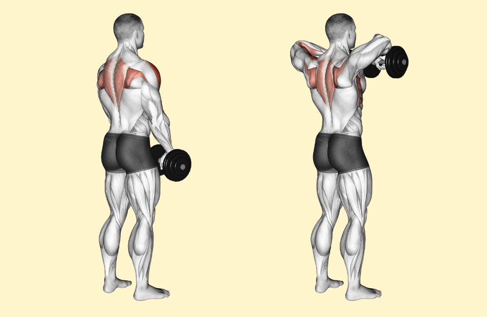 Dumbbell Upright Rows