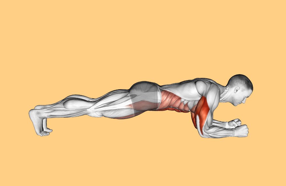 Planks bodyweight workout