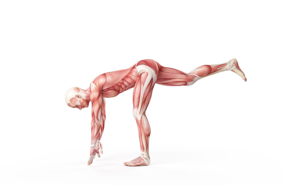 Why Should You Perform the Single Leg Balance Reach?