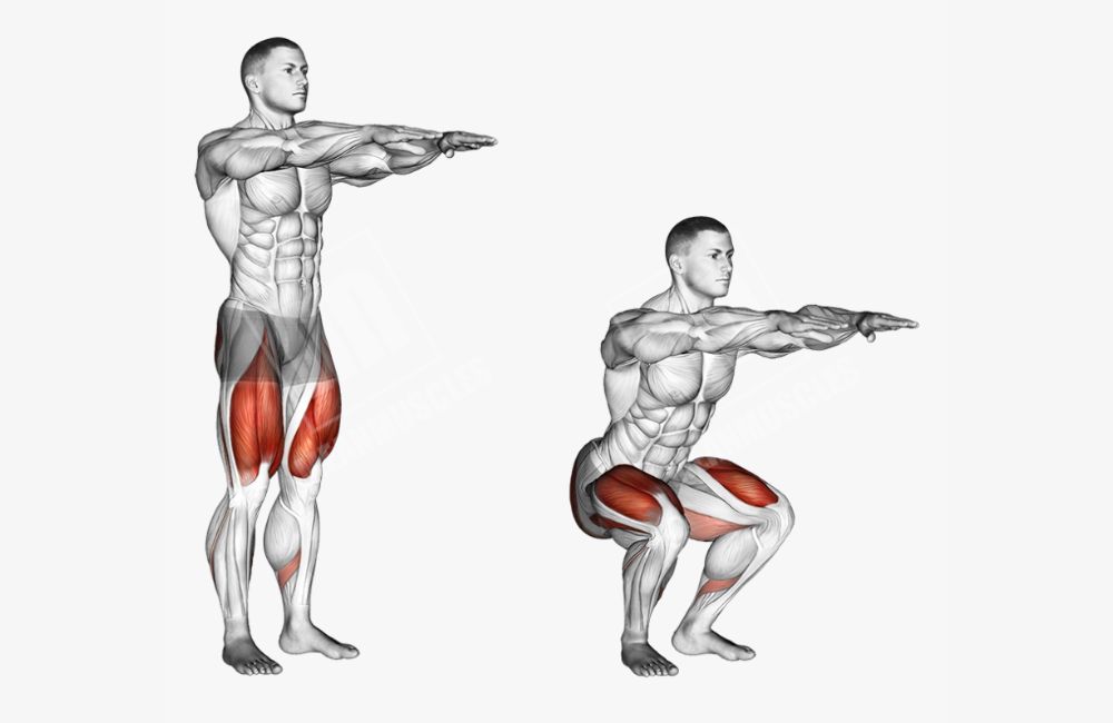 Bodyweight workout squat