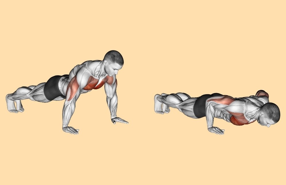 Push-Ups: Bodyweight workouts