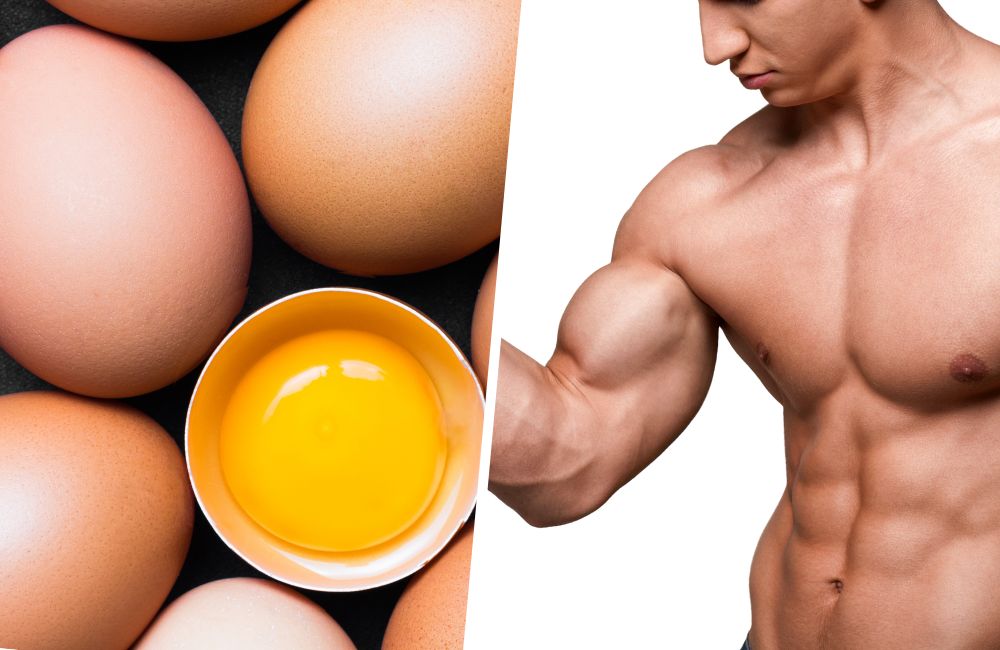 Top 5 Foods That Boost Testosterone Men Must Eat 