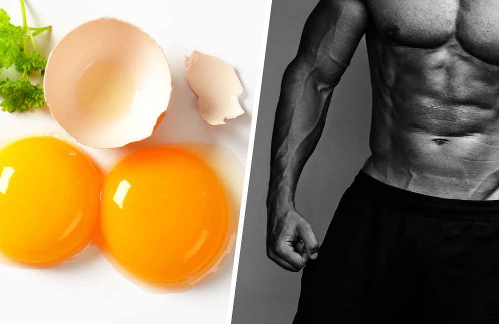 15 Best High-Protein Foods for Building Muscle