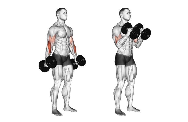 The Only 6 Arm Exercises You’ll Ever Need To Build Strong and Well ...