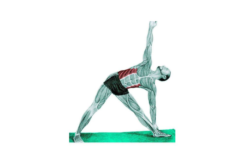 Reverse Triangle Pose