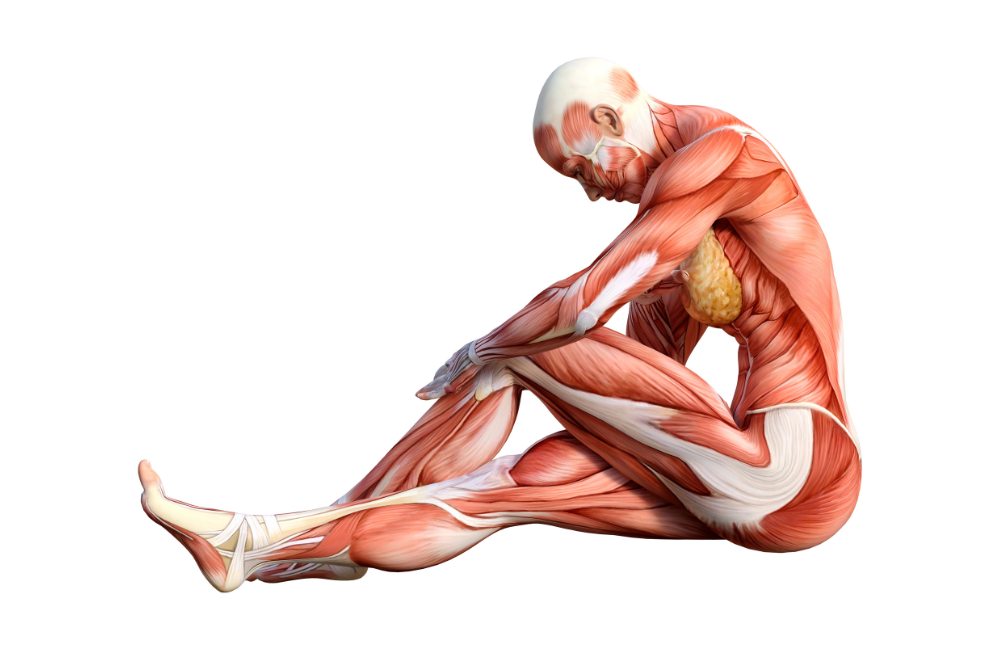 Seated Spinal Rotation Stretch