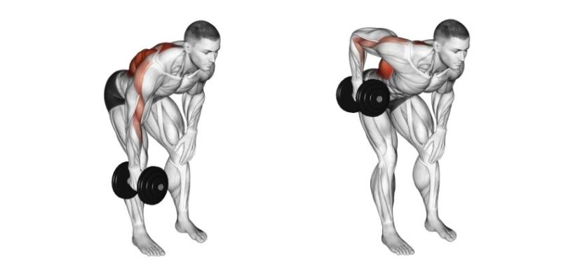 I’m a Personal Trainer and These Are the 6 Dumbbell Exercises I Do for ...