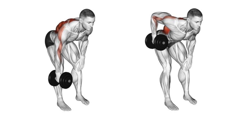 Single-Arm Bent Over Rows